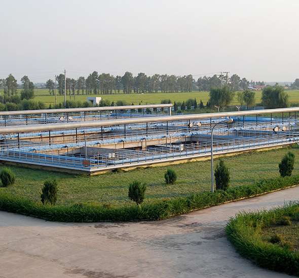 royal皇家88·(中国区) - 官方网站