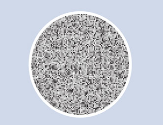 royal皇家88·(中国区) - 官方网站