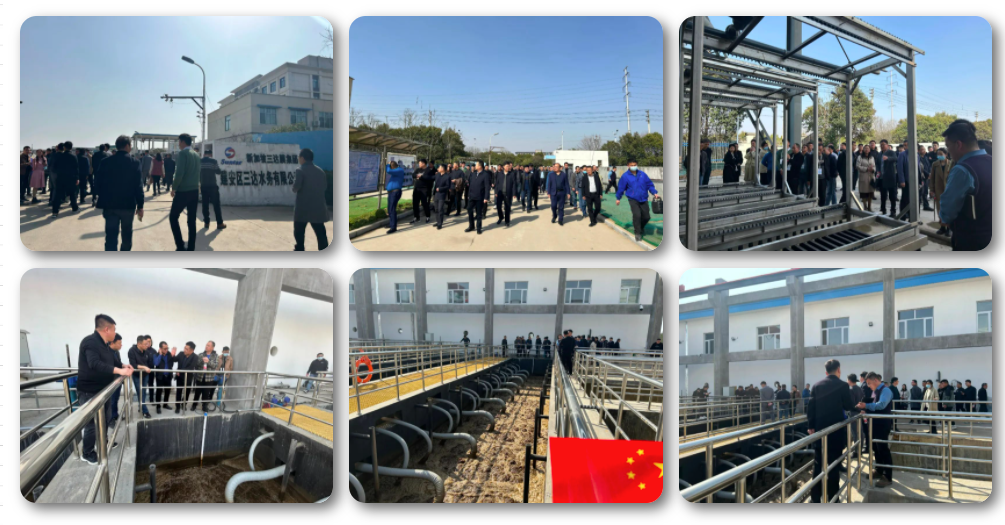 royal皇家88·(中国区) - 官方网站