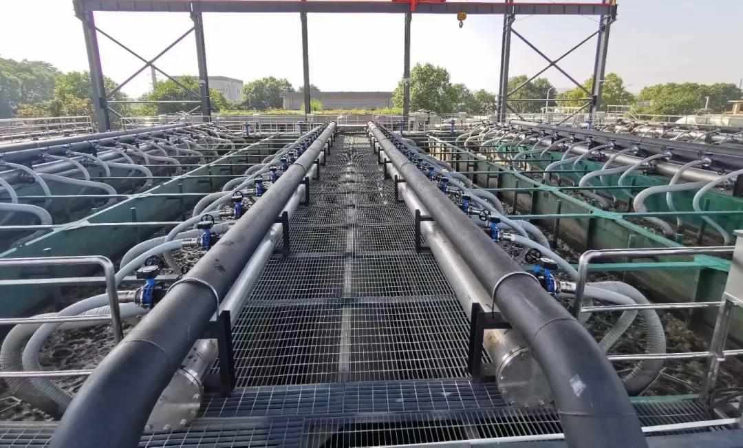 royal皇家88·(中国区) - 官方网站