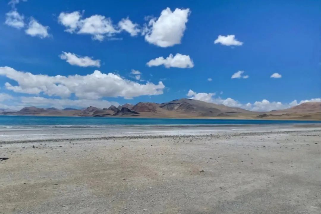 royal皇家88·(中国区) - 官方网站